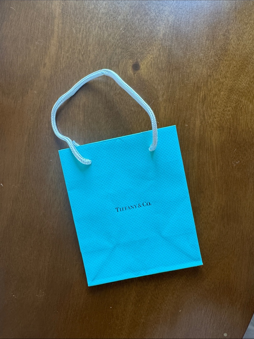 Tiffany & Co. Robin's Egg Blue Paper Gift Bag with White Rope Handles